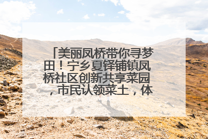 美丽凤桥带你寻梦田！宁乡夏铎铺镇凤桥社区创新共享菜园，市民认领菜土，体验耕种收获乐趣