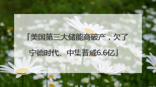 美国第三大储能商破产，欠了宁德时代、中集普威6.6亿