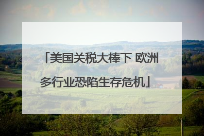 美国关税大棒下 欧洲多行业恐陷生存危机