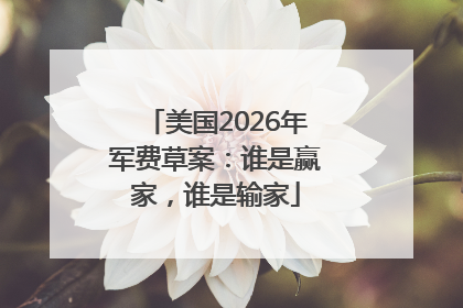 美国2026年军费草案：谁是赢家，谁是输家