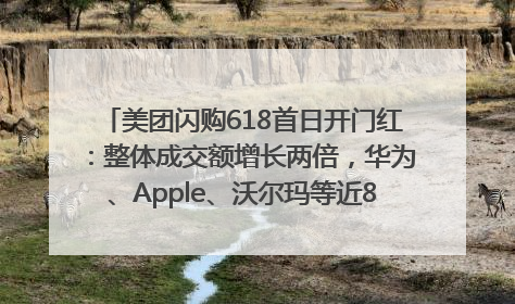美团闪购618首日开门红：整体成交额增长两倍，华为、Apple、沃尔玛等近800个品牌翻倍增长