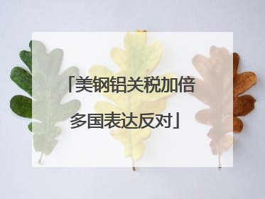 美钢铝关税加倍 多国表达反对