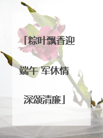 粽叶飘香迎端午 军休情深颂清廉