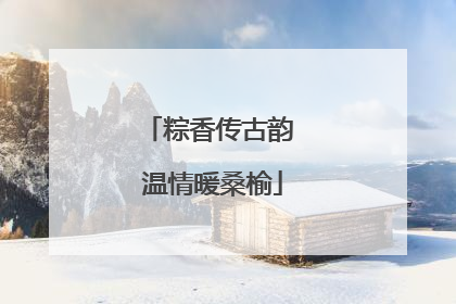 粽香传古韵 温情暖桑榆