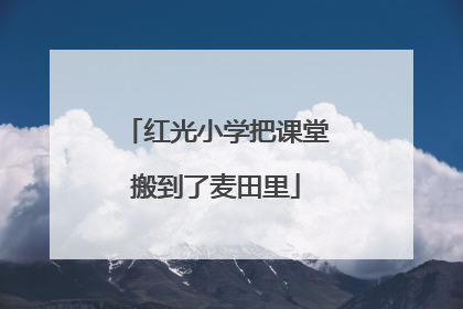 红光小学把课堂搬到了麦田里