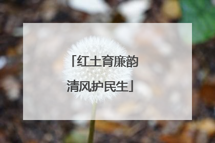 红土育廉韵 清风护民生