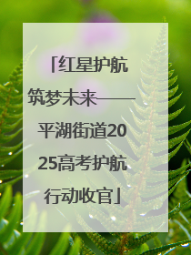 红星护航 筑梦未来——平湖街道2025高考护航行动收官