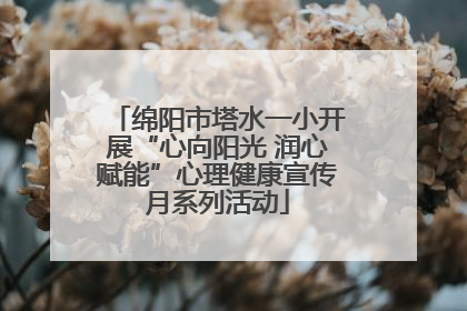 绵阳市塔水一小开展“心向阳光 润心赋能”心理健康宣传月系列活动