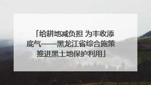 给耕地减负担 为丰收添底气——黑龙江省综合施策推进黑土地保护利用