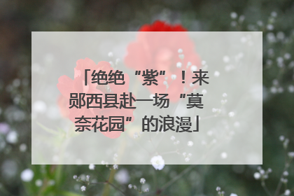 绝绝“紫”！来郧西县赴一场“莫奈花园”的浪漫