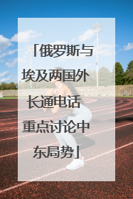 俄罗斯与埃及两国外长通电话 重点讨论中东局势