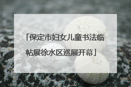 保定市妇女儿童书法临帖展徐水区巡展开幕