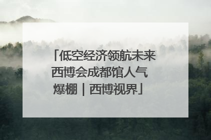 低空经济领航未来 西博会成都馆人气爆棚｜西博视界