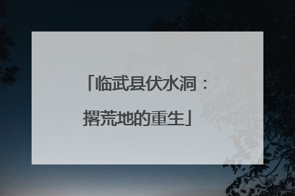 临武县伏水洞：撂荒地的重生