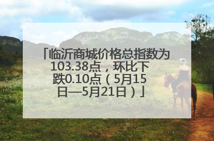 临沂商城价格总指数为103.38点，环比下跌0.10点（5月15日—5月21日）