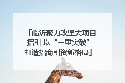 临沂聚力攻坚大项目招引 以“三重突破”打造招商引资新格局