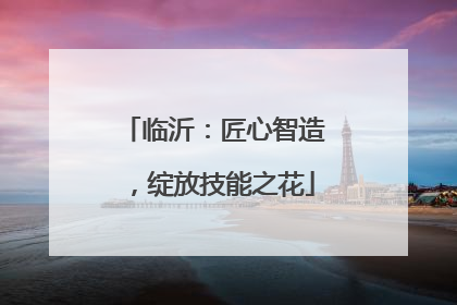 临沂：匠心智造，绽放技能之花