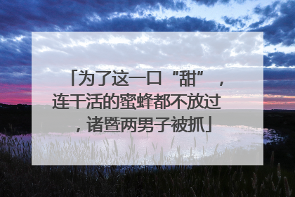 为了这一口“甜”，连干活的蜜蜂都不放过，诸暨两男子被抓