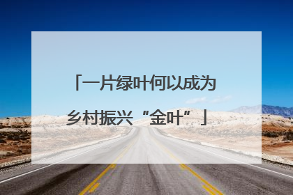 一片绿叶何以成为乡村振兴“金叶”