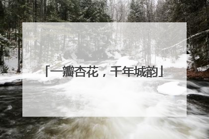 一瓣杏花，千年城韵