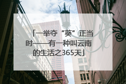 一举夺“葵”正当时——有一种叫云南的生活之365天