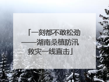 一刻都不敢松劲——湖南桑植防汛救灾一线直击