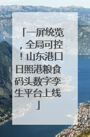 一屏统览，全局可控！山东港口日照港粮食码头数字孪生平台上线