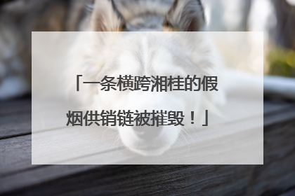 一条横跨湘桂的假烟供销链被摧毁！