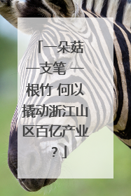 一朵菇 一支笔 一根竹 何以撬动浙江山区百亿产业？