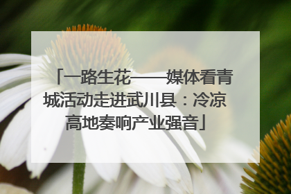 一路生花——媒体看青城活动走进武川县：冷凉高地奏响产业强音