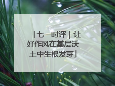 七一时评｜让好作风在基层沃土中生根发芽