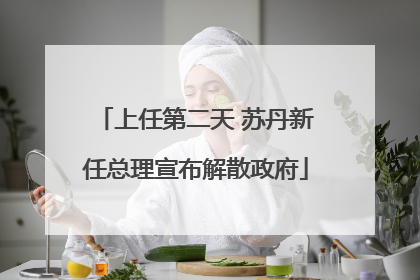 上任第二天 苏丹新任总理宣布解散政府