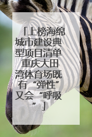 上榜海绵城市建设典型项目清单 重庆大田湾体育场既有“弹性”又会“呼吸”