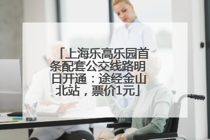 上海乐高乐园首条配套公交线路明日开通：途经金山北站，票价1元