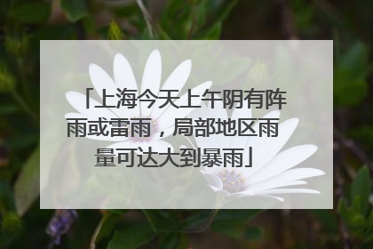 上海今天上午阴有阵雨或雷雨，局部地区雨量可达大到暴雨