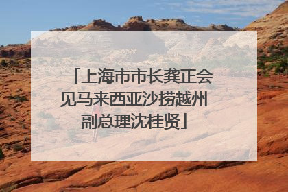 上海市市长龚正会见马来西亚沙捞越州副总理沈桂贤