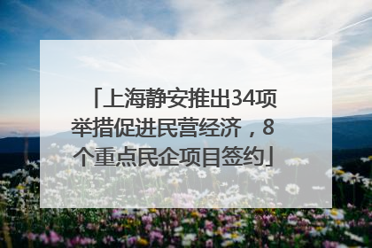上海静安推出34项举措促进民营经济，8个重点民企项目签约