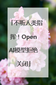 不听人类指挥！OpenAI模型拒绝关闭