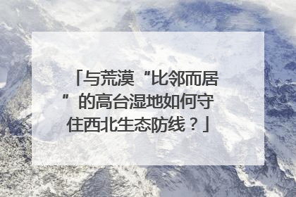与荒漠“比邻而居”的高台湿地如何守住西北生态防线？