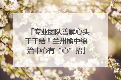 专业团队善解心头千千结！兰州榆中综治中心有“心”招