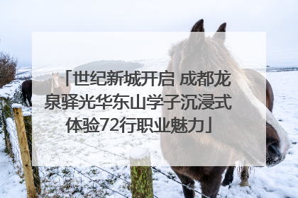 世纪新城开启 成都龙泉驿光华东山学子沉浸式体验72行职业魅力