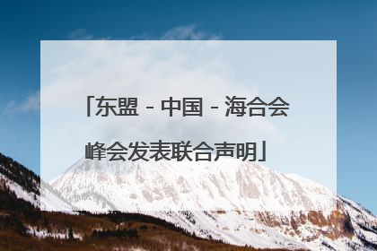 东盟－中国－海合会峰会发表联合声明