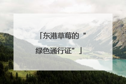 东港草莓的“绿色通行证”