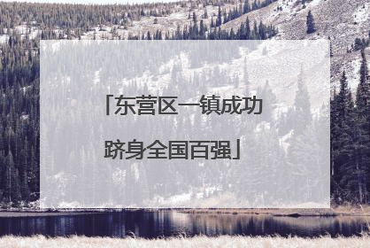 东营区一镇成功跻身全国百强