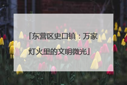 东营区史口镇：万家灯火里的文明微光