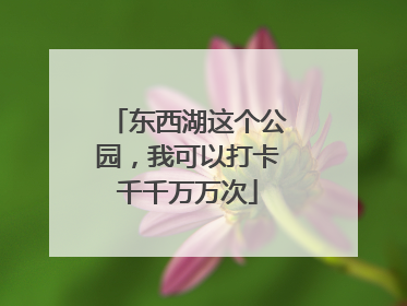 东西湖这个公园，我可以打卡千千万万次