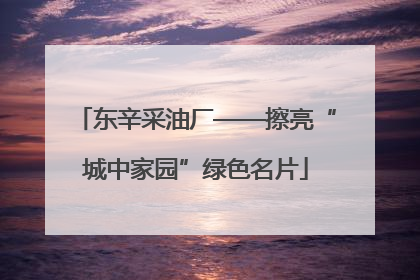东辛采油厂——擦亮“城中家园”绿色名片