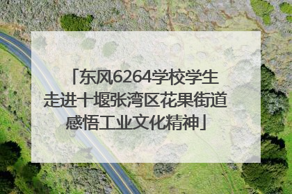 东风6264学校学生走进十堰张湾区花果街道感悟工业文化精神