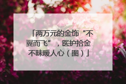 两万元的金饰“不翼而飞”，医护拾金不昧暖人心（图）