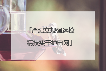 严纪立规强运检 精技实干护电网